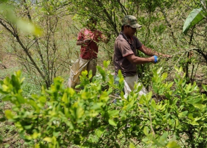 La lucha del campesinado en Colombia