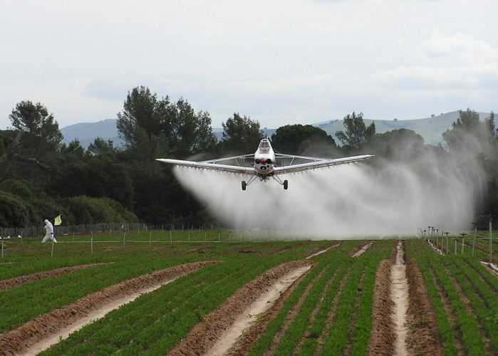 La guerra contra las drogas fracasó, ¿existe otra alternativa?