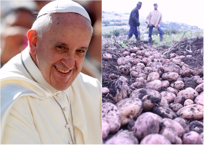 Carta de los campesinos de Colombia al papa Francisco