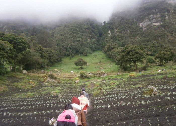 Mujeres en Usme se organizan con propuestas agroambientales