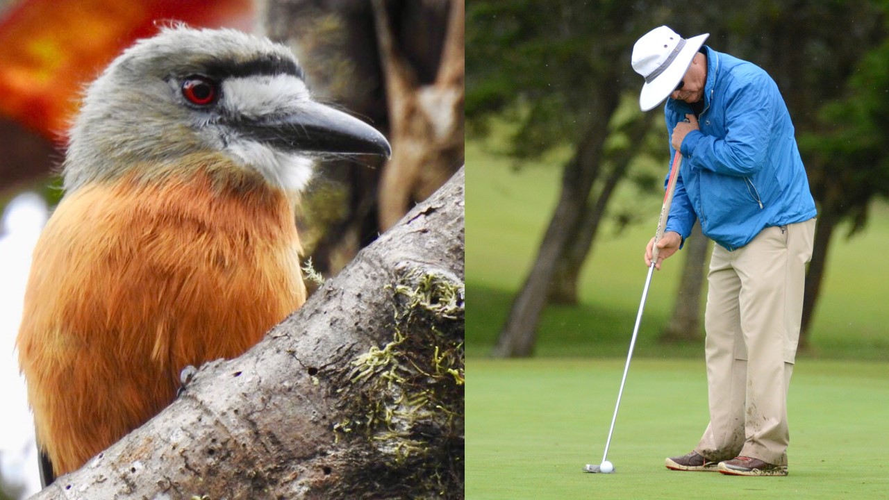 Rubén Arango: entre los pájaros y el golf