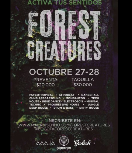  - Activa tus sentidos