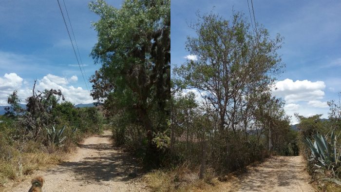  - ¿Usuarios de EBSA? Páselos por la galleta