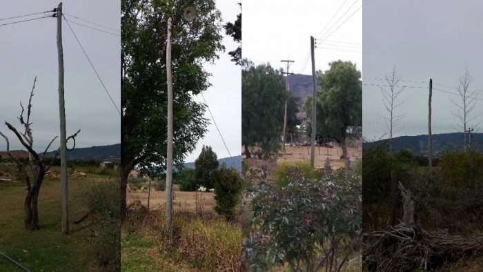  - ¿Usuarios de EBSA? Páselos por la galleta