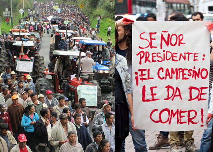 Los motivos del paro total que comienza este miércoles