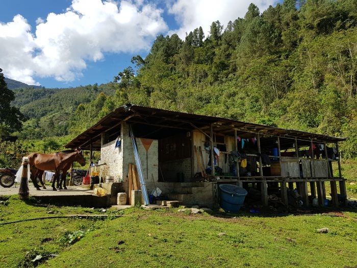  - El coronel Henry Becerra y la reconquista del páramo Hermosas, el santuario de Alfonso Cano: VIDEO
