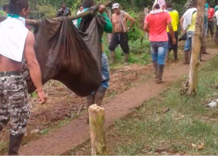 De Las Vegas a Tumaco