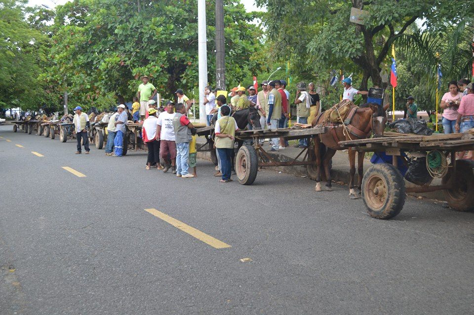 Caucasia, ejemplo de reconversión laboral de conductores de vehículos de tracción animal