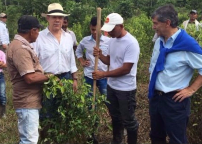 Cocalombia: ¿vamos camino a la legalización de la coca?