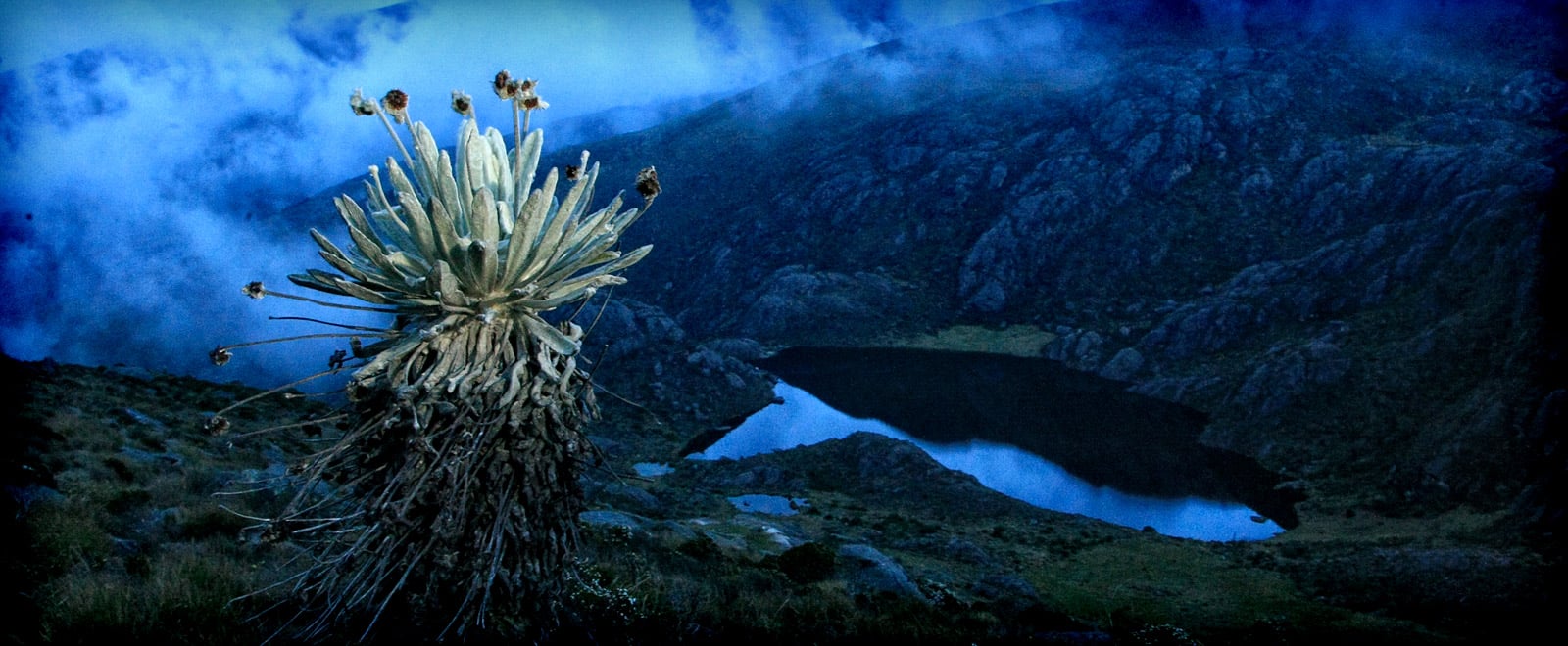 La obsesión minera y el páramo de Santurbán