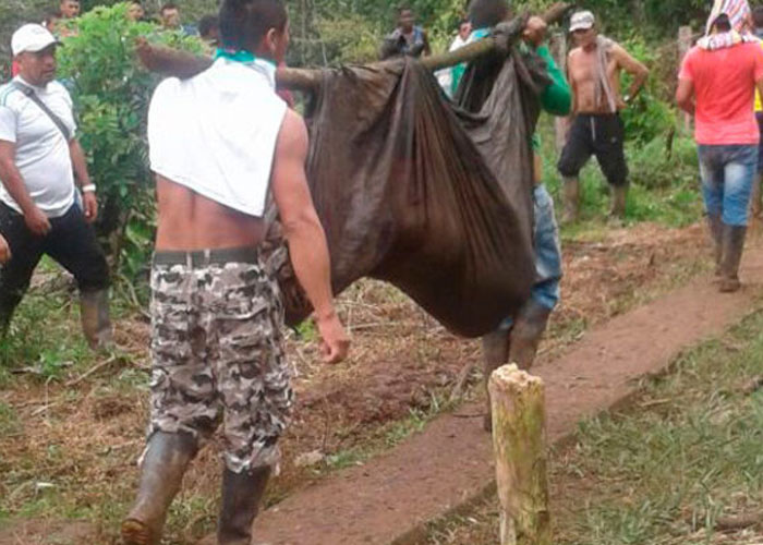 Nuevamente la barbarie, nuevamente el crimen sin sentido