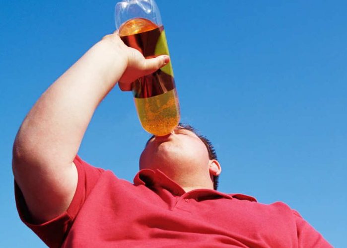 Azúcar, obesidad, monocultivo