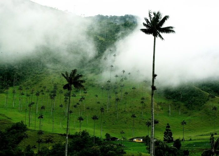 En Quindío tres municipios repudian la megaminería