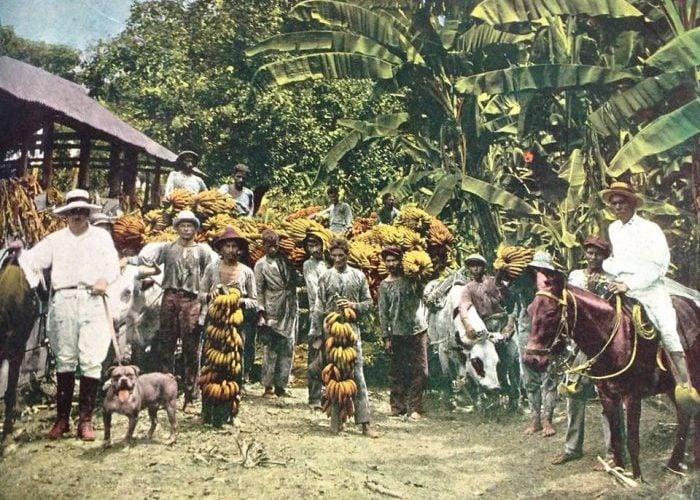 Las bananeras: una muestra más de nuestra falta de memoria histórica