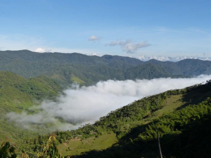 Paradojas de la conservación en el oriente antioqueño