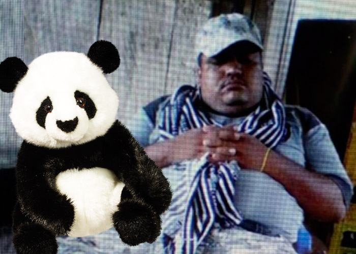 El oso panda de peluche que le costó la vida a alias Inglaterra, el segundo del Clan del Golfo