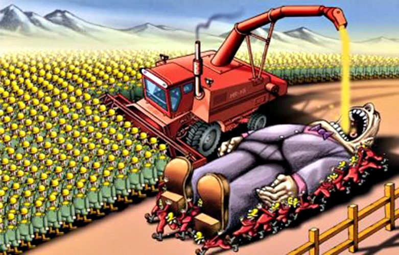 Los humanos y su comportamiento de monos capuchinos