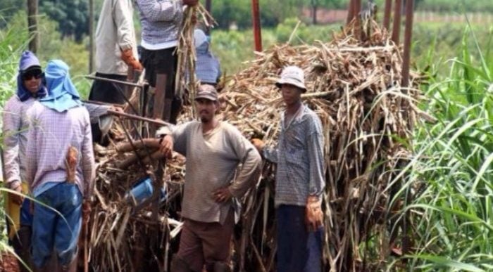  - El Valle tiene los ingredientes, pero le faltan cocineros