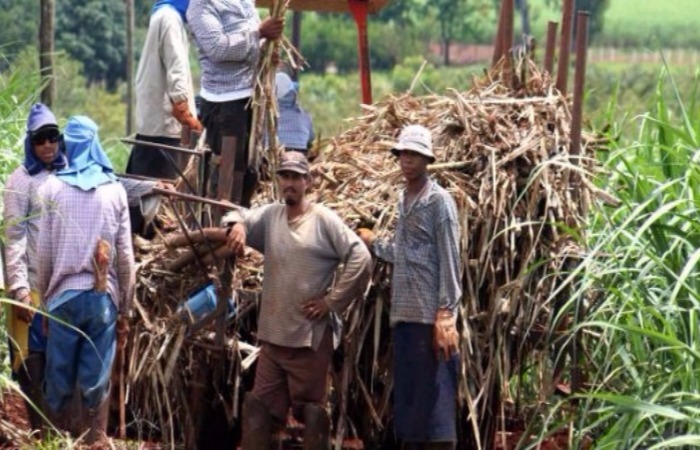 El Valle tiene los ingredientes, pero le faltan cocineros