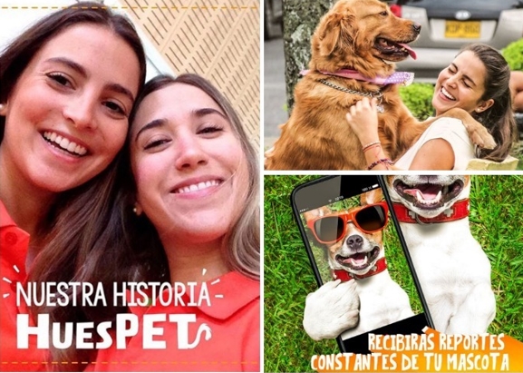 ¿No sabe con quién dejar a su mascota? Una página web es la solución