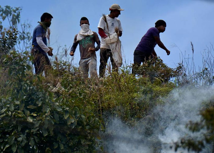 El paro y la fiesta del Cric de cada año
