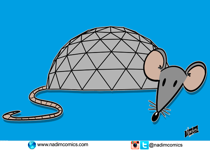 Maloka y la alcaldía