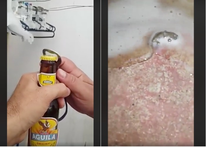 Denuncia ciudadana de una Cerveza Águila con una largatija muerta: Bavaria dice que es un montaje