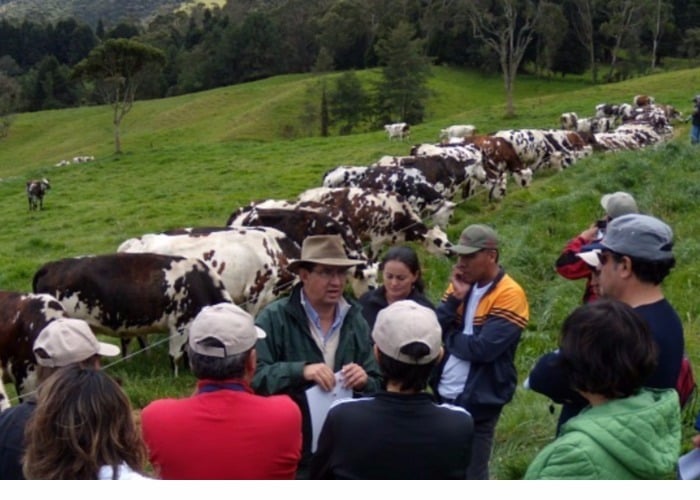 A qué se enfrenta el desarrollo rural