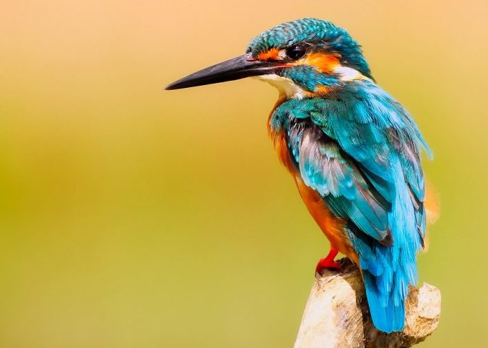 Rionegro: la tierra de nadie, la esperanza de todos