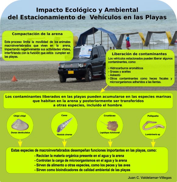  - Por qué nunca debería estacionar su vehículo en la playa