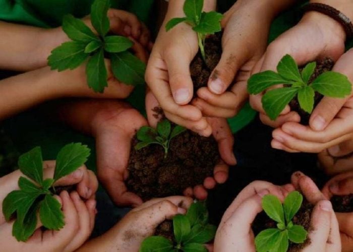 Educación ambiental, un asunto relegado