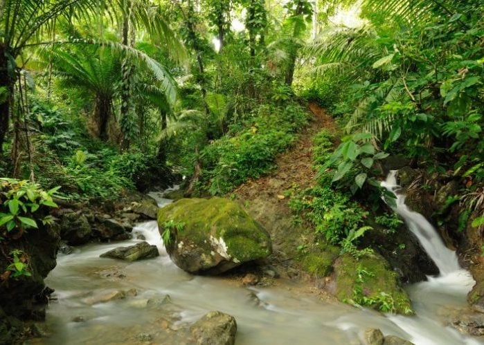 Por qué no unificar el Darién y crear un nuevo departamento