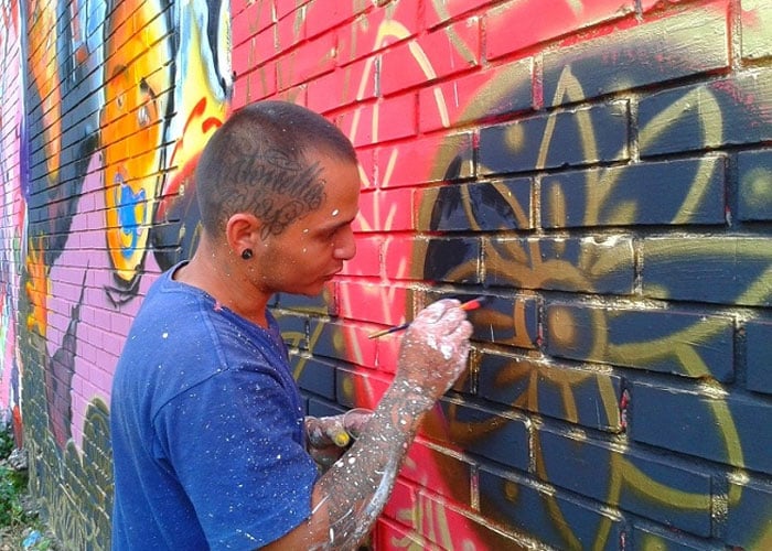 Un grillo pinta murales en Cúcuta