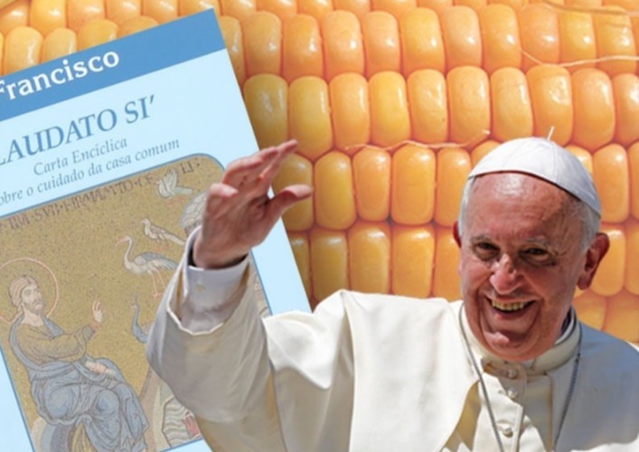 1/3 de los alimentos se desperdician