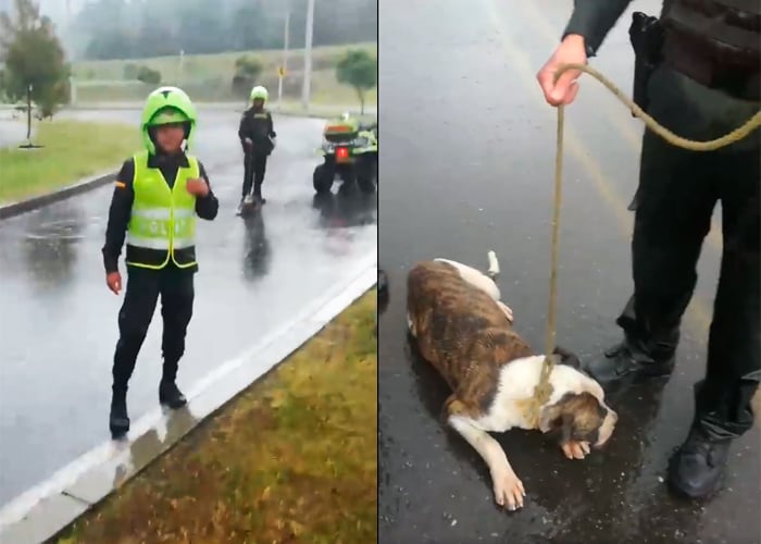 EN VIDEO: Policía torturó a un perro amarrándolo y arrastrándolo en una moto