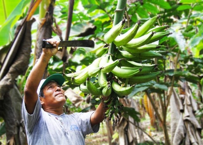 Dicotomía ciudad-campo