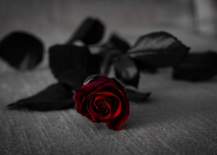 ¿Ni con el pétalo de una flor?