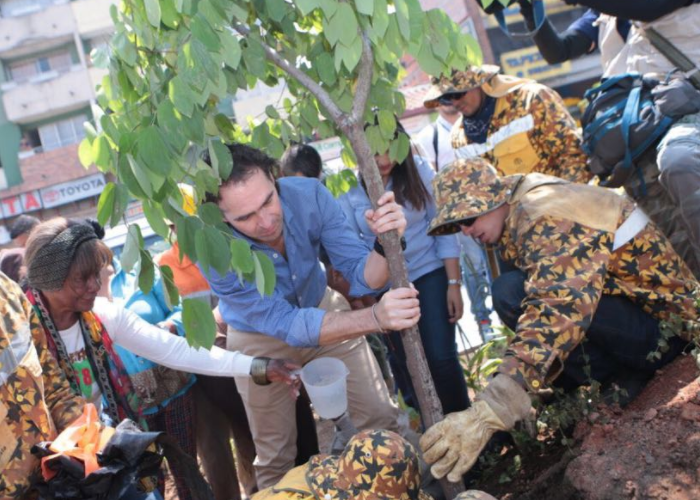 Con más de 20.000 árboles sembrados, Medellín quiere contrarrestar la contaminación del aire
