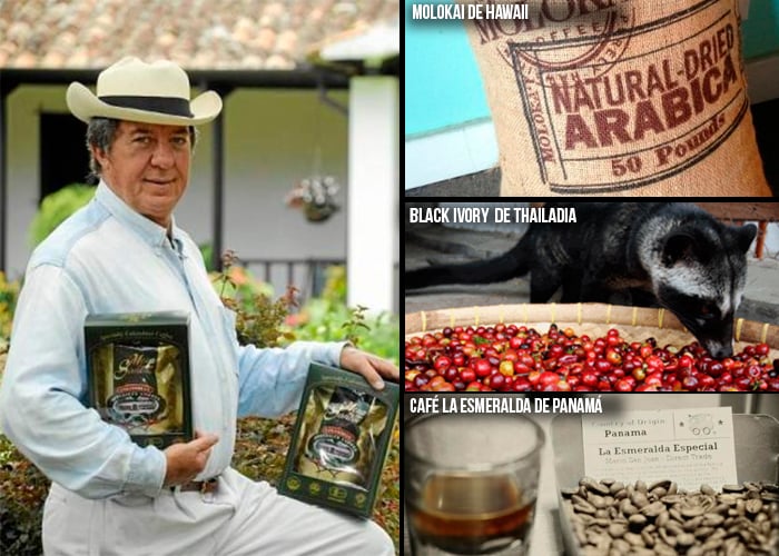 Café colombiano entre los más caros del mundo. TOP 10