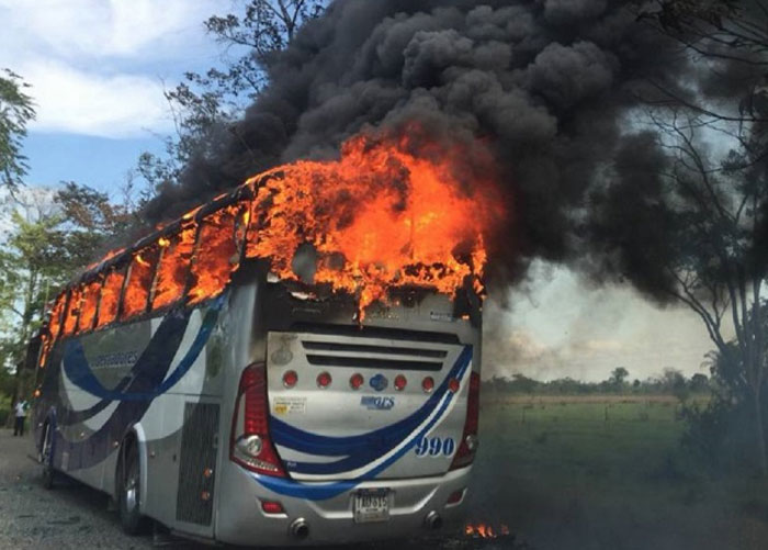 Algo huele mal con tanto temor