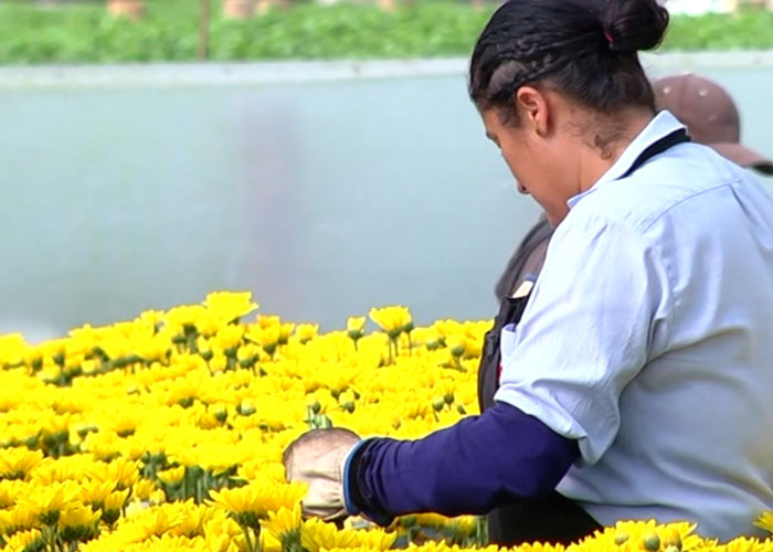 Qué pasa con el ICA en el oriente de Antioquia