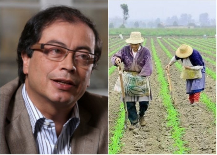 Más dudas que certezas, la política de Petro sobre el campo