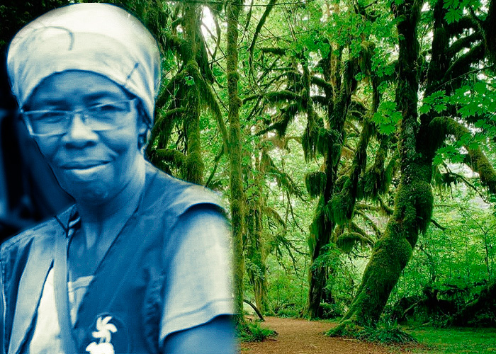 ¿A quién le estorban, hasta matarlos, los protectores de la naturaleza?