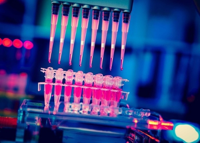 ¿Será bueno buscarnos cánceres?