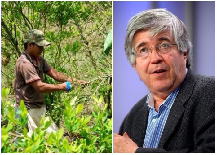 Crisis entre Gobierno Santos y los cocaleros