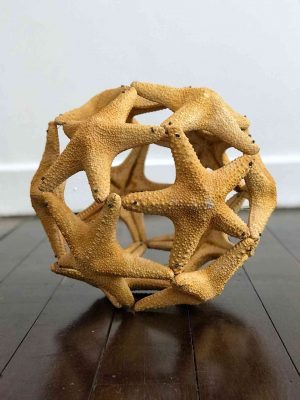 Apología de lo perecedero - -- Las2orillas - Apología de lo perecedero