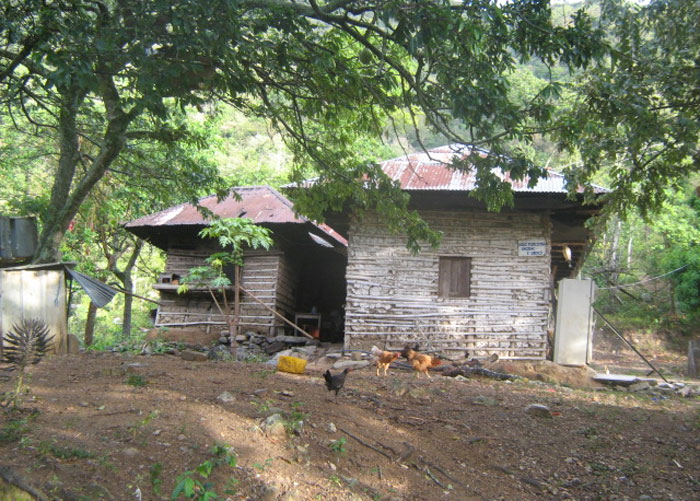 Quién mejor para hablar de La Caima, Tolima