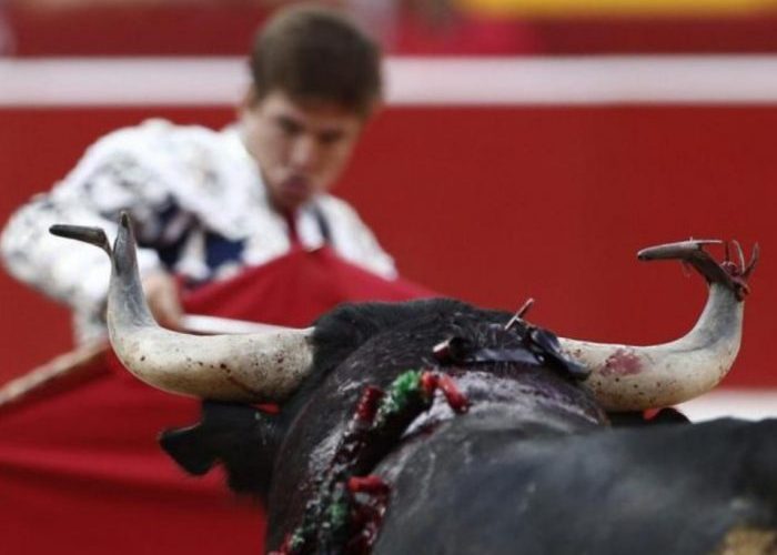 ¿En qué va el proyecto de ley que prohíbe las corridas de toros?