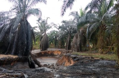  - ¿Se acaba Ecopetrol?: sobre la propuesta de tanquear con aguacates