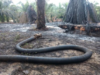  - ¿Se acaba Ecopetrol?: sobre la propuesta de tanquear con aguacates